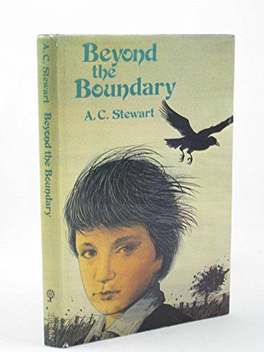 Book Beyond The Boundary free