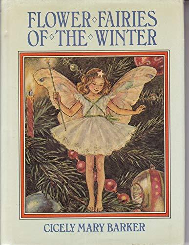Book Flower Fairies of the Winter free