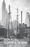 Book The Bottom Of The Harbor free