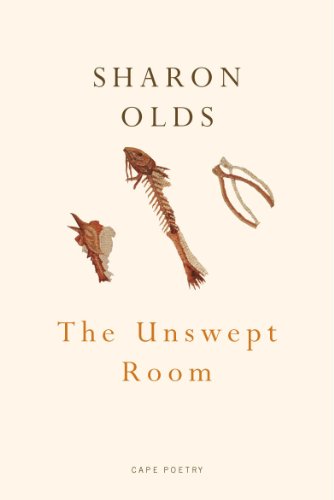 Book The Unswept Room free