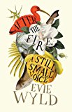Book After the Fire, a Still Small Voice free