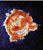 Book A Child is Born [Nov 23, 2009] Nilsson, Lennart free