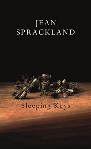Book Sleeping Keys free