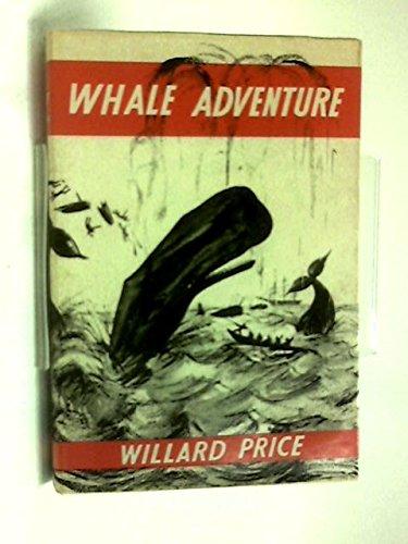 Book Whale Adventure free
