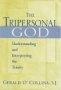 Book The Tripersonal God: Understanding And Interpreting The Trinity (5/28/02) free