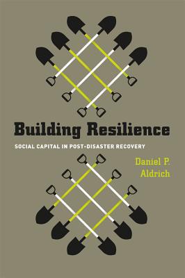 Book Building Resilience: Social Capital in Post-Disaster Recovery free