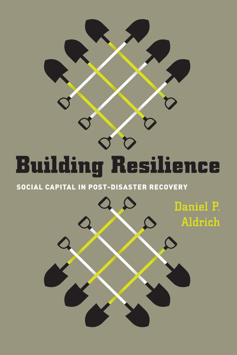 Book Building Resilience: Social Capital in Post-Disaster Recovery free