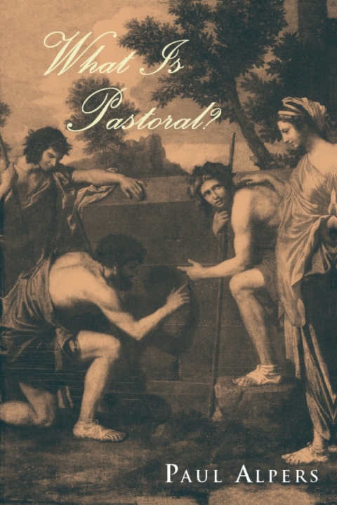 Book What Is Pastoral? free