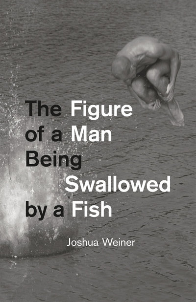 Book The Figure of a Man Being Swallowed by a Fish (Phoenix Poets) free