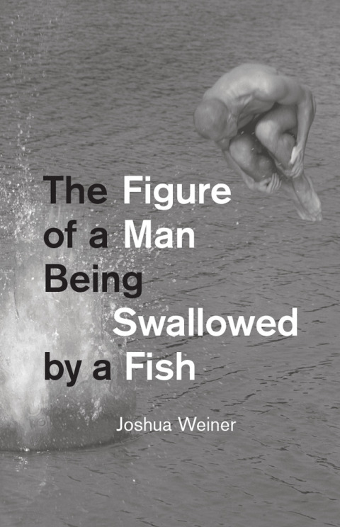 Book The Figure of a Man Being Swallowed by a Fish (Phoenix Poets) free