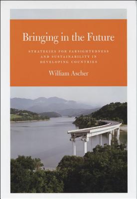 Book Bringing in the Future: Strategies for Farsightedness and Sustainability in Developing Countries free