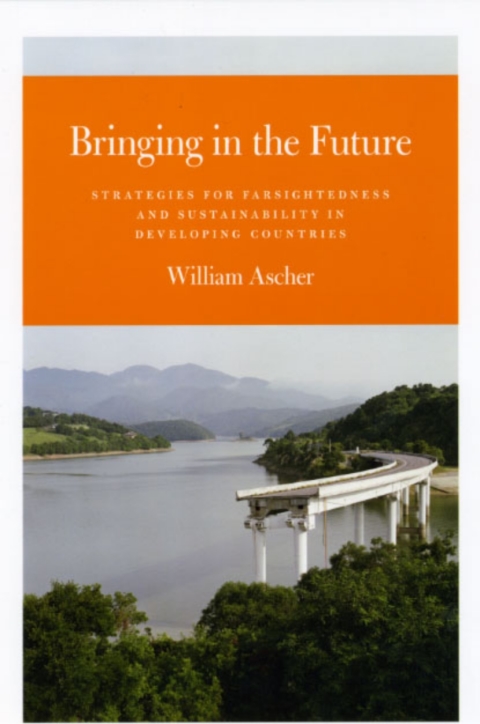 Book Bringing in the Future: Strategies for Farsightedness and Sustainability in Developing Countries free