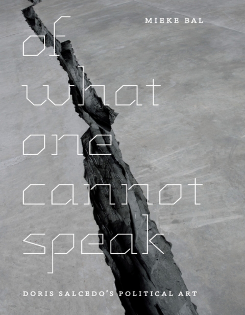 Book Of What One Cannot Speak: Doris Salcedo's Political Art free