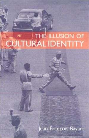 Book The Illusion of Cultural Identity free