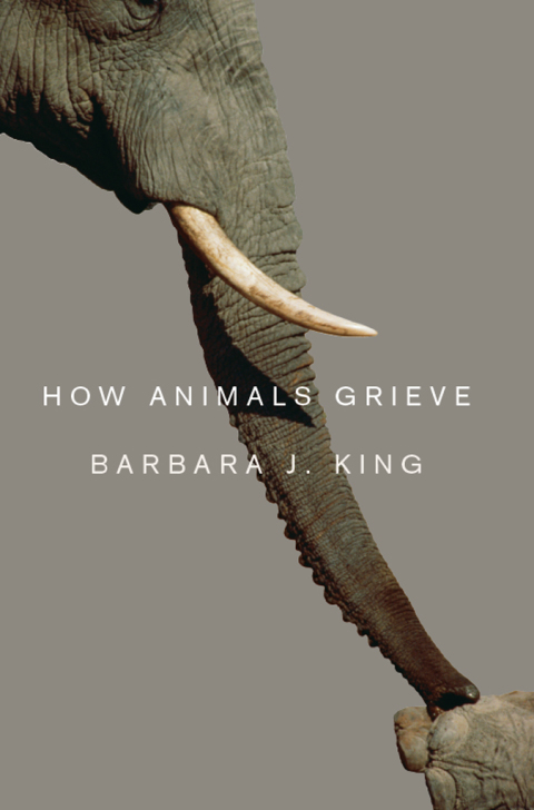 Book How Animals Grieve free
