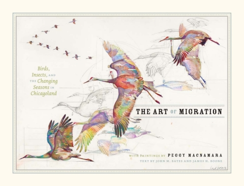 Book The Art of Migration free