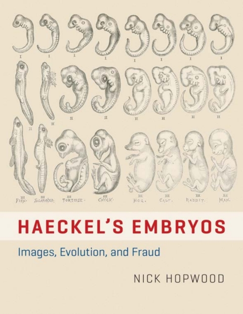 Book Haeckel's Embryos: Images, Evolution, and Fraud free