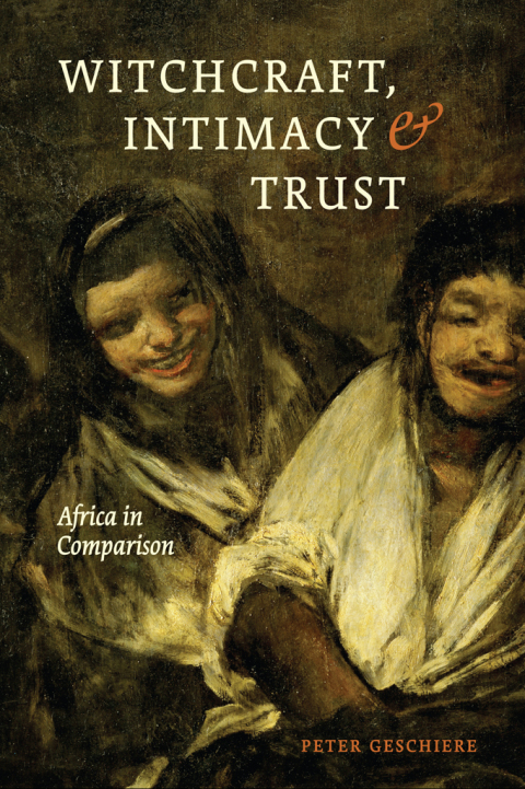 Book Witchcraft, Intimacy, and Trust: Africa in Comparison free