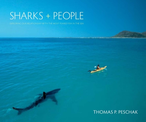 Book Sharks and People: Exploring Our Relationship with the Most Feared Fish in the Sea free