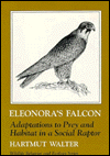 Book Manual of Neotropical Birds, Volume 1 free