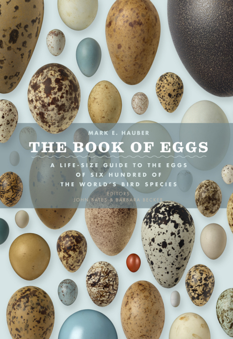 Book The Book of Eggs: A Life-Size Guide to the Eggs of Six Hundred of the World's Bird Species free