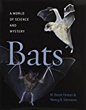 Book Bats: A World of Science and Mystery free