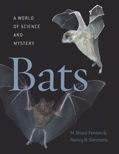 Book Bats: A World of Science and Mystery free