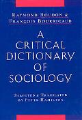 Book A Critical Dictionary of Sociology free