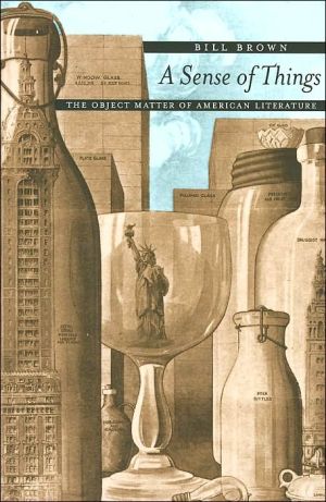 Book A Sense of Things: The Object Matter of American Literature free
