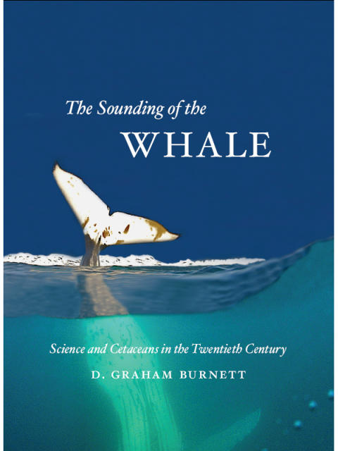 Book The Sounding of the Whale free