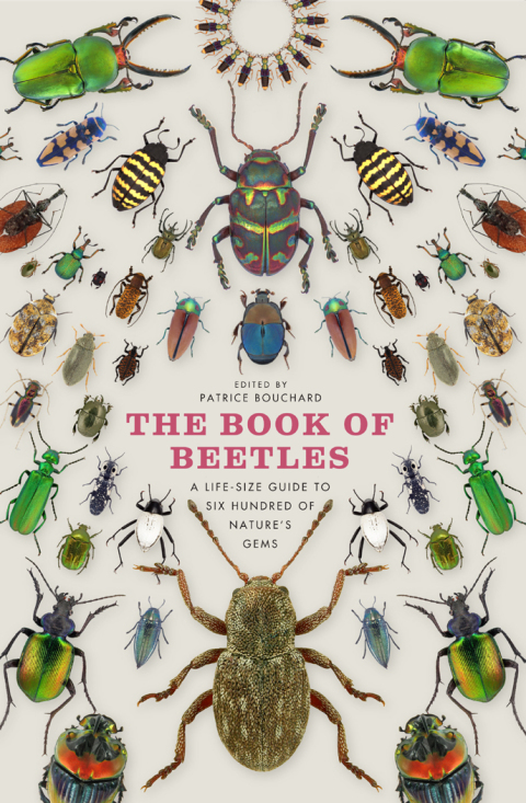 Book The Book of Beetles: A Life-Size Guide to Six Hundred of Nature's Gems free