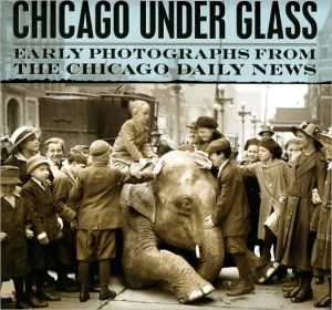 Book Chicago under Glass: Early Photographs from the Chicago Daily News free
