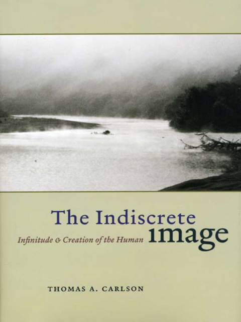 Book The Indiscrete Image: Infinitude and Creation of the Human (Religion and Postmodernism) free