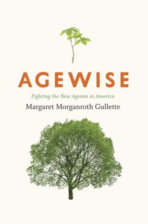 Book Agewise: Fighting the New Ageism in America free