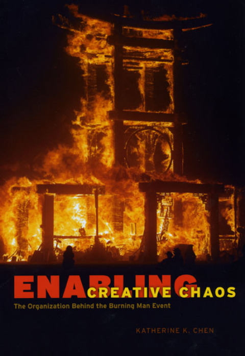 Book Enabling Creative Chaos: The Organization Behind the Burning Man Event free