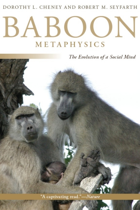 Book Baboon Metaphysics: The Evolution of a Social Mind free
