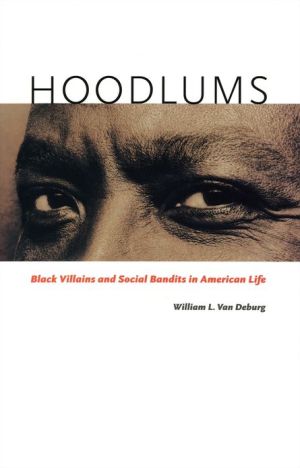Book Hoodlums: Black Villains and Social Bandits in American Life free