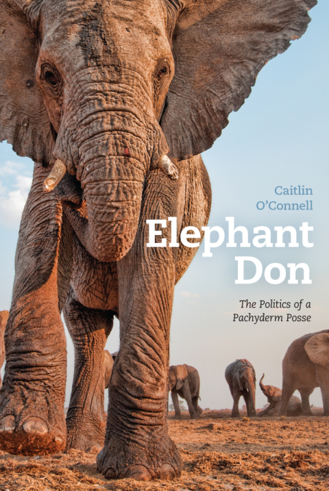 Book Elephant Don free