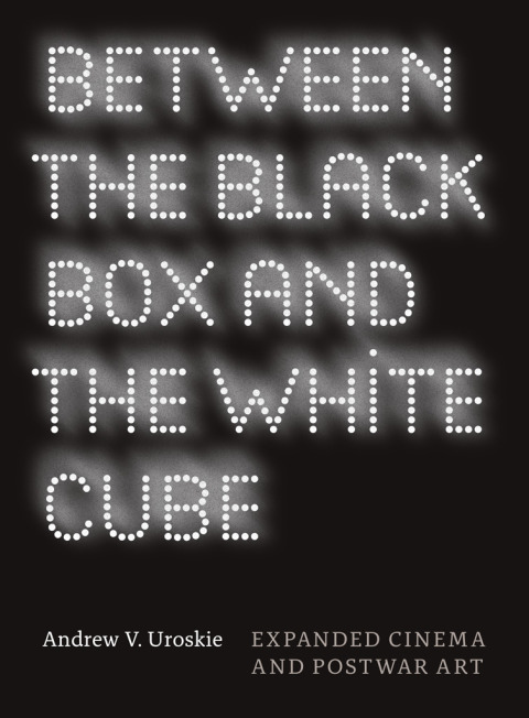 Book Between the Black Box and the White Cube: Expanded Cinema and Postwar Art free