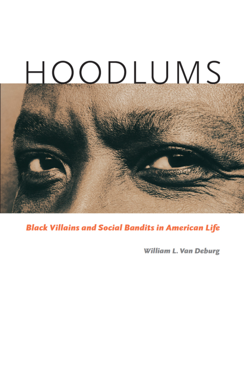 Book Hoodlums: Black Villains and Social Bandits in American Life free