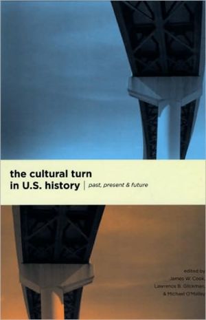 Book The Cultural Turn in U. S. History: Past, Present, and Future free