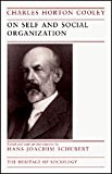 Book On Self And Social Organization free