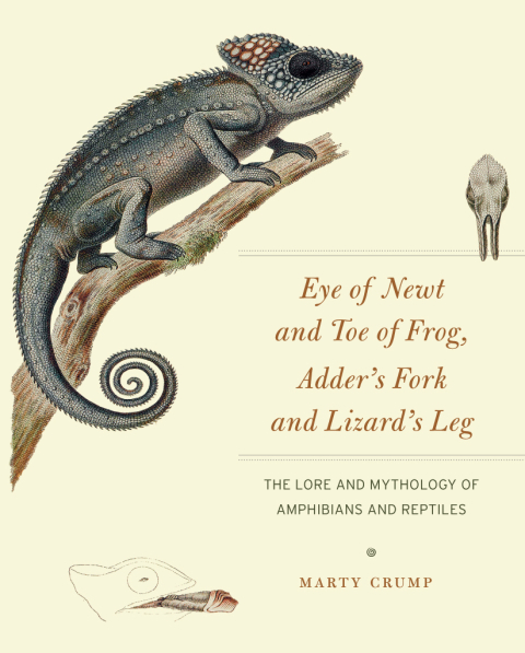 Book Eye of Newt and Toe of Frog, Adder's Fork and Lizard's Leg: The Lore and Mythology of Amphibians and Reptiles free