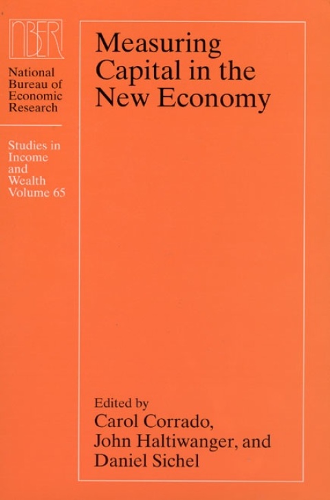 Book Measuring Capital in the New Economy free