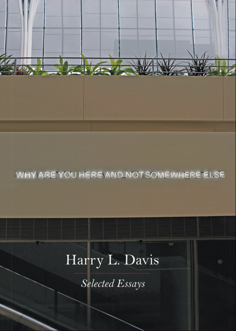 Book Why Are You Here and Not Somewhere Else: Selected Essays free