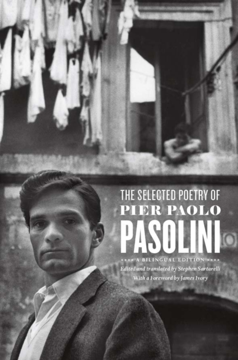 Book The Selected Poetry of Pier Paolo Pasolini: A Bilingual Edition free