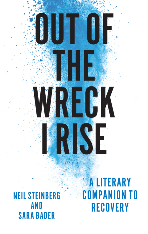 Book Out of the Wreck I Rise: A Literary Companion to Recovery free