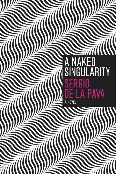 Book A Naked Singularity: A Novel free