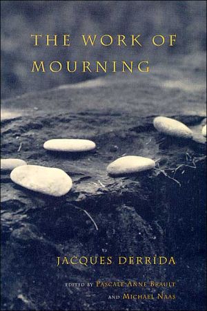 Book The Work of Mourning free