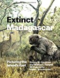 Book Extinct Madagascar: Picturing the Island's Past free